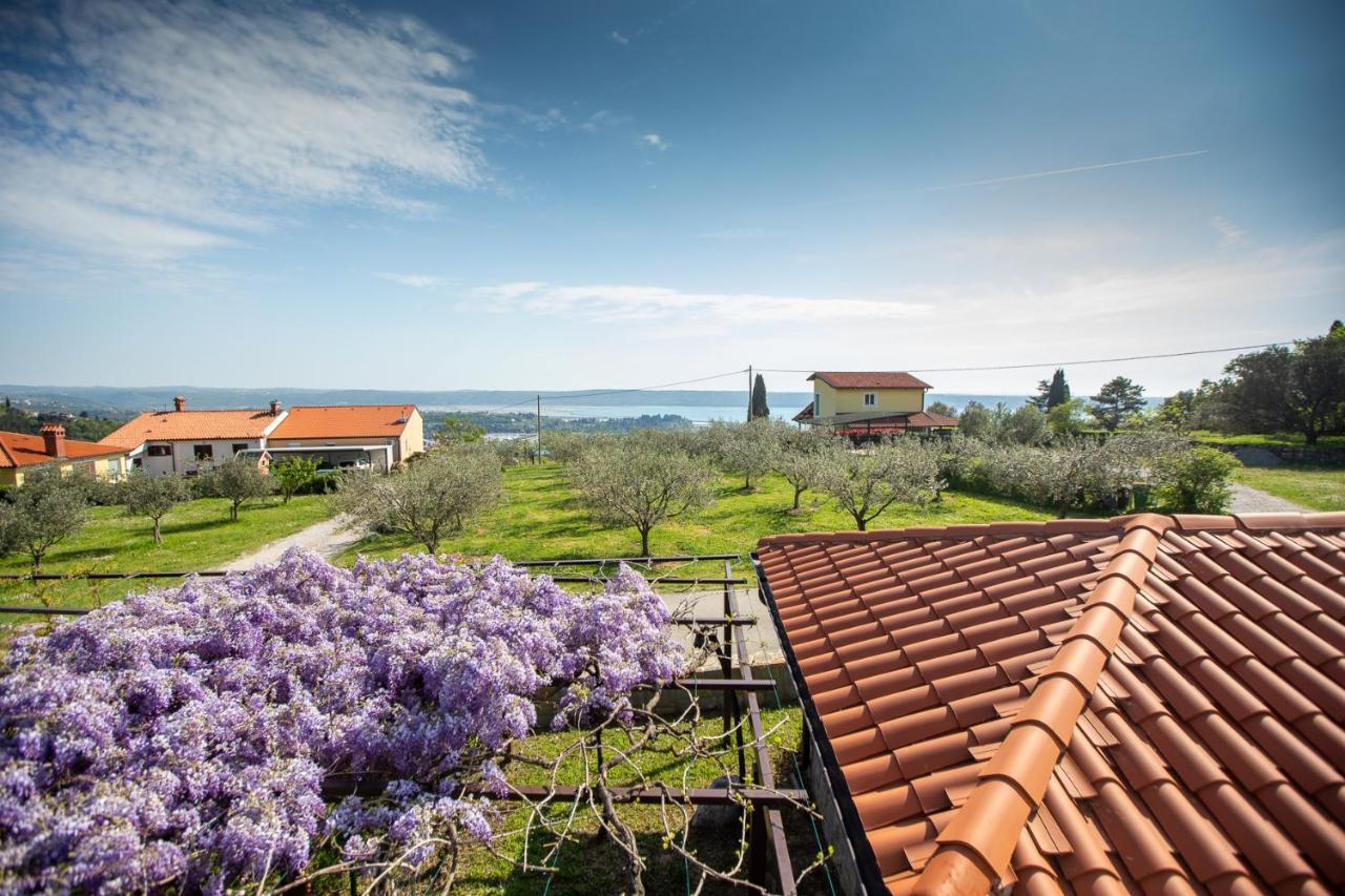 Apartments And Rooms Jeselnik Portoroz Exterior photo